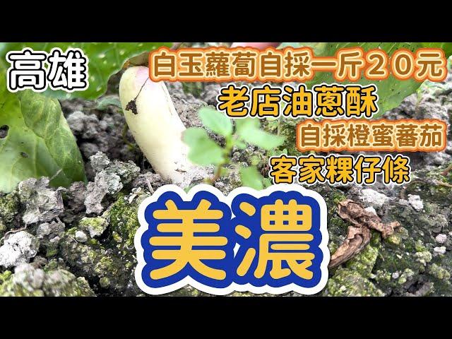 [高雄]自採橙蜜番茄、白玉蘿蔔！好山好水好美麗。適合全家一起出遊的客家村。#吉寶媽日常#高雄美濃#客家美食#白玉蘿蔔#採番茄#觀光果園