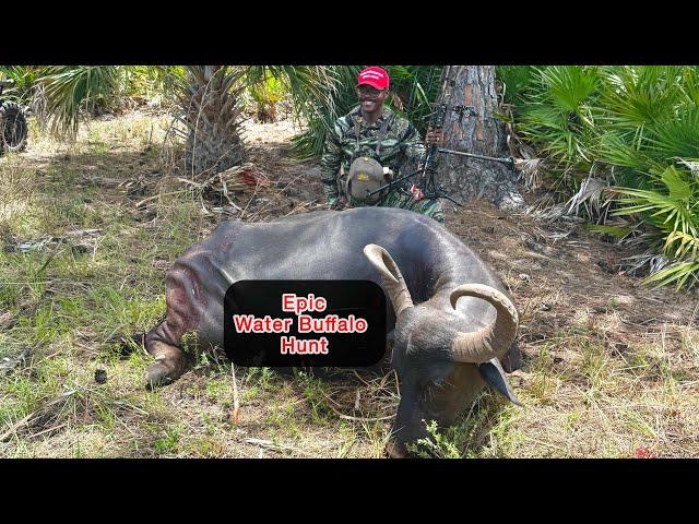 Insane Water Buffalo Bowhunt #archery #outdoors #bowhunting #biggamehunting #hunting #dangerousegame