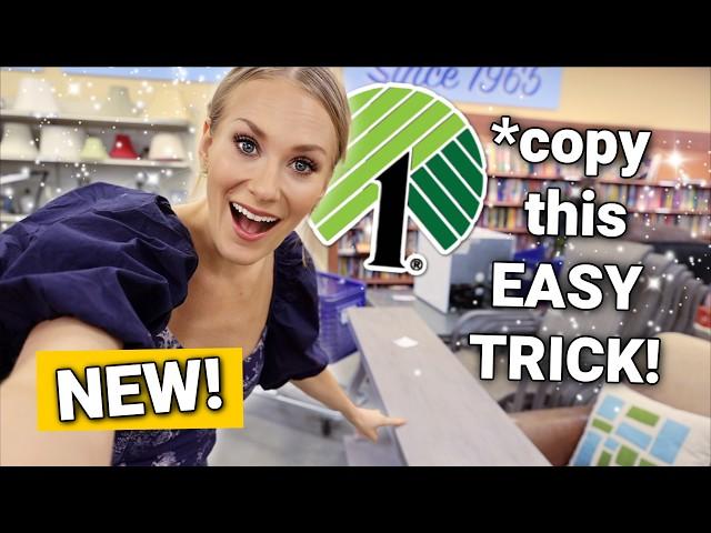 *BRAND NEW* Dollar Tree Staples   Complete Home Transformation!