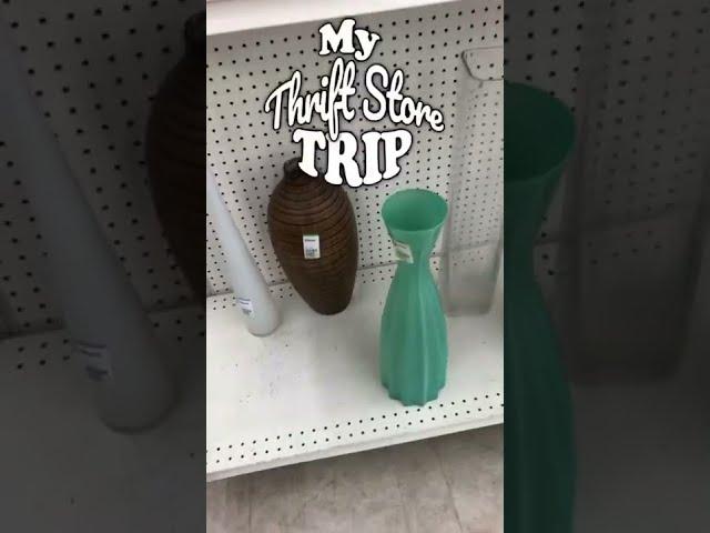 Thrift Store Trip No.1 Goodwill