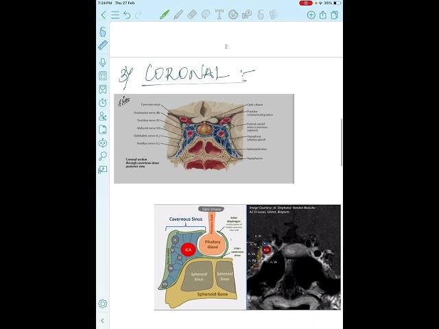 PITUITARY - HYPOTHALAMUS INTERPLAY : Functional Anatomy