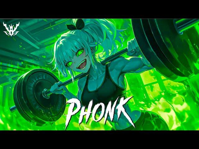 THE MOST INSANE PHONK MUSIC 2024 ※ BEST GYM MUSIC PLAYLIST [GYM, AGGRESSIVE, FUNK] ※ Фонка 2024 #005