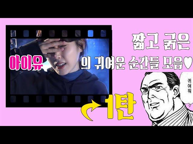 짧고 굵은 아이유의 귀여운 순간들 모음