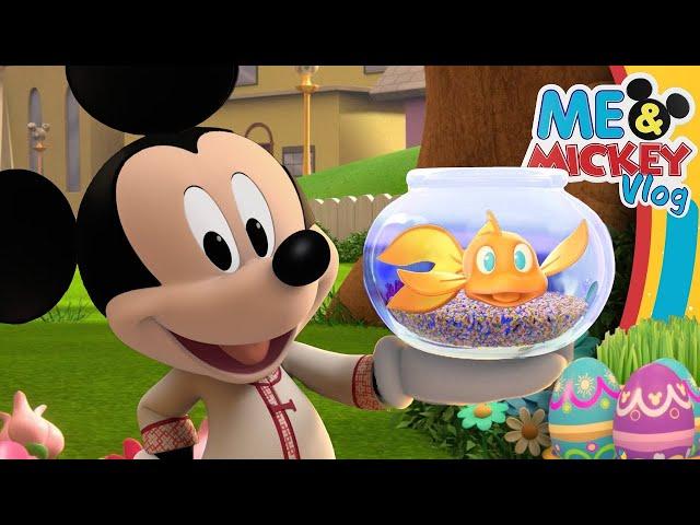 Nowruz Persian New Year Holiday Celebration with Mickey! | Me & Mickey | Vlog 41 | @disneyjr