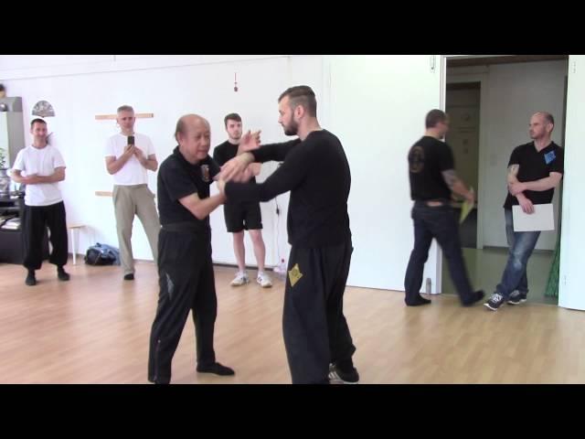 Sifu Lo Man Kam teachs movements and appilcations of the Cham Kiu - Wädenswil 2016