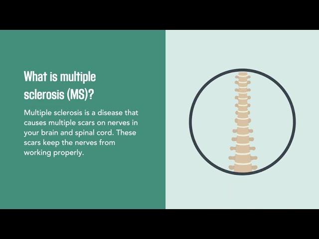 Multiple Sclerosis: Quick Facts on MS | Merck Manual Consumer Version