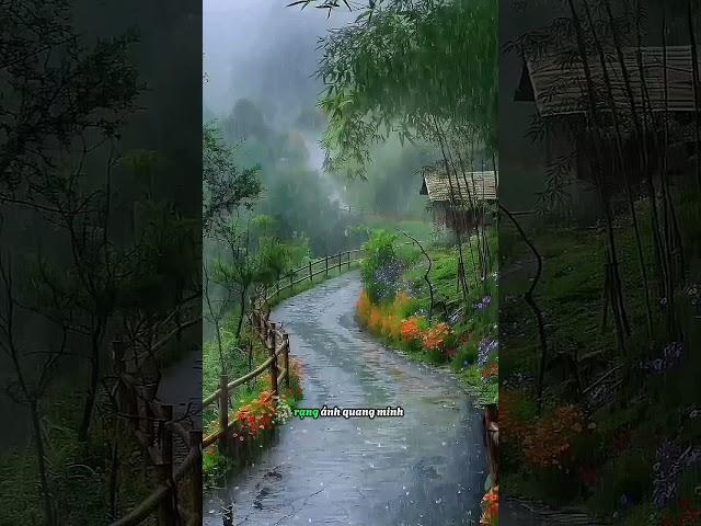 Cuộc Đời Không Là Bể Khổ - Trần Ngọc San ️ Ngôi Nhà An Nhiên #tranngocsan