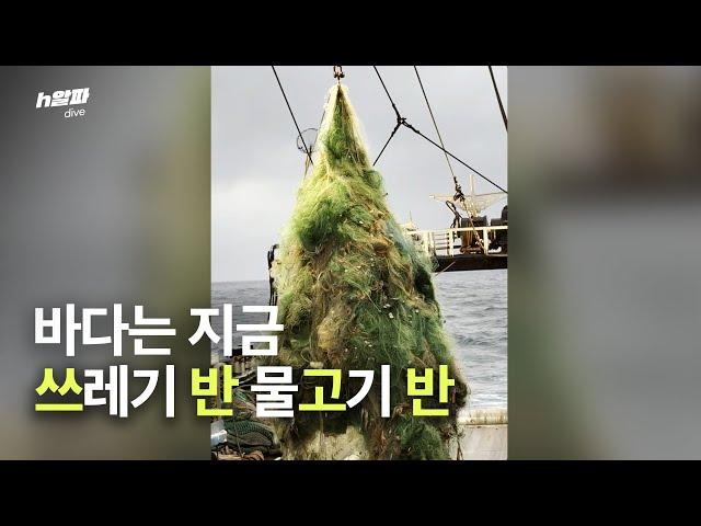 지금 바다에선 물고기 대신 쓰레기가 올라온다고? | 트래시 TRASEA [h알파 다이브]