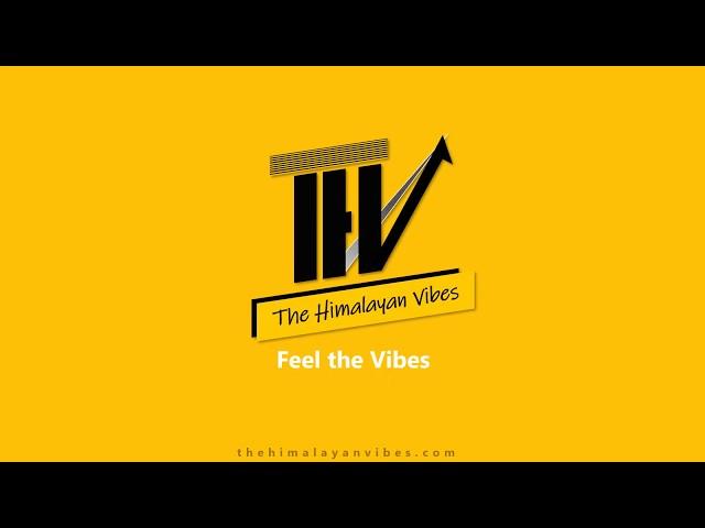 THV   - Feel the Vibes!!