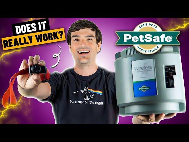 PetSafe Wireless Fence Reviews (Watch Me Get SHOCKED!)