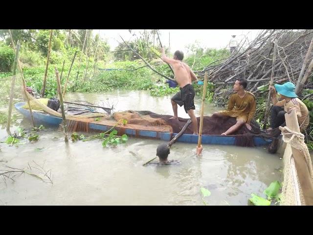 319 / Dở Chà Bắt Cá Ở Miền Tây