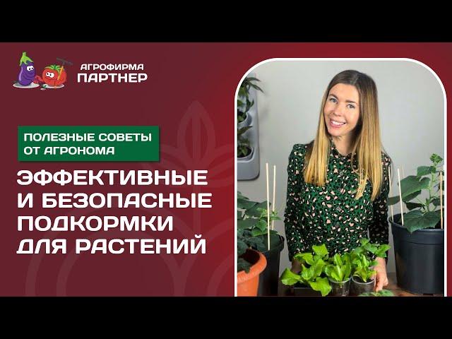 КАКИЕ ПОДКОРМКИ ИСПОЛЬЗОВАТЬ ДЛЯ РАСТЕНИЙ В ЗИМНЕМ ОГОРОДЕ ДЛЯ ПОЛУЧЕНИЯ ХОРОШЕГО УРОЖАЯ