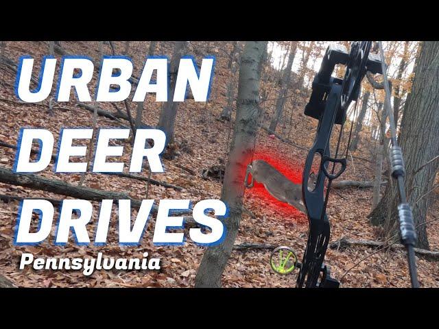 URBAN DEER DRIVES - PA 2024- Part 1