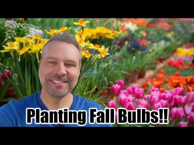 How to Plant Fall (Spring Flowering) Bulbs // Daffodils, Tulips, Muscari