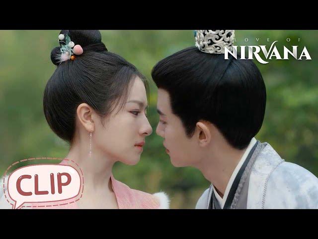 Kissing pause! Jiang Ci drugged Wei Zhao | Love of Nirvana | EP29 Clip