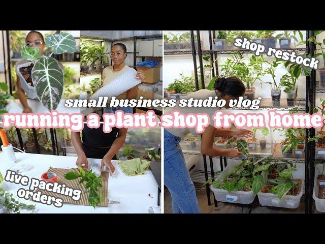 Running a Plant Store From Home Vlog🪴Packing Orders, Weekly Shop Restock, Tips for Selling Plants