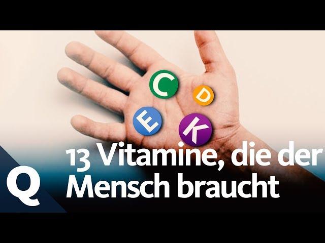 So funktionieren Vitamine im Körper | Quarks