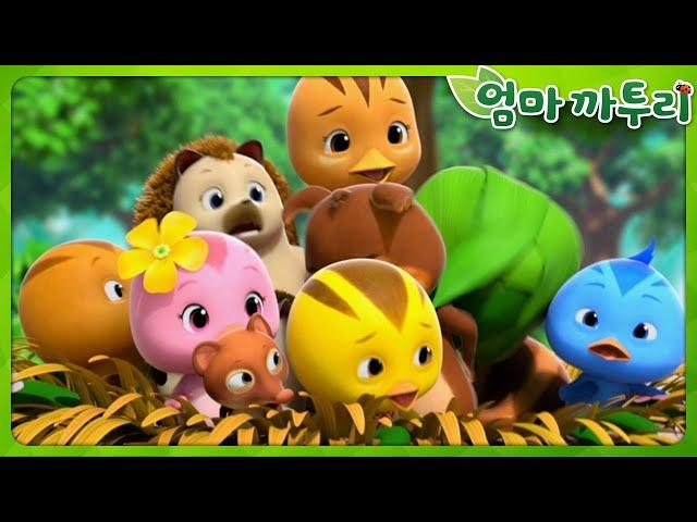 [엄마까투리 베스트 에피소드] 마법같은 물 이야기 | Best Episodes EP30 | 동물 친구들 | 엄마 까투리 | 까투리 | Katuri