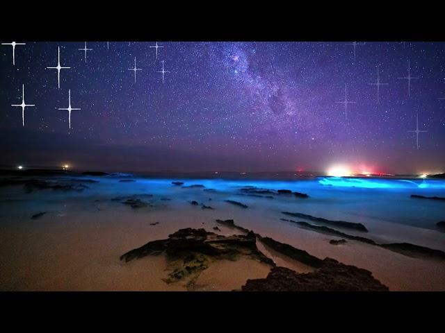 Bioluminescence at the Indian River Lagoon