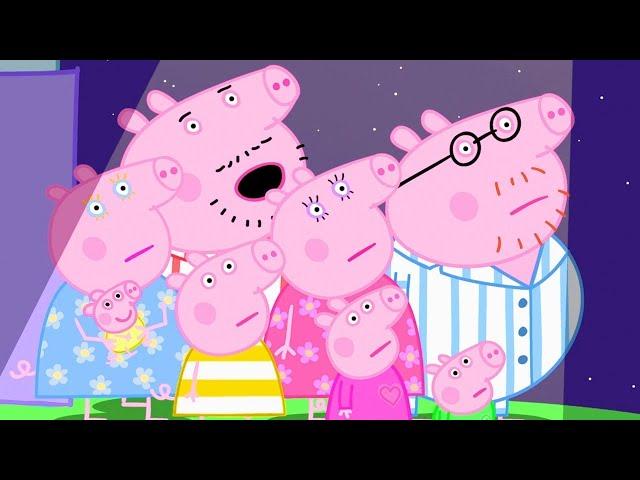 Peppa Pig Full Episodes | New Peppa Pig | Peppa Pig 2020 | Kids Videos