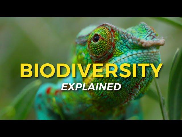 What is Biodiversity? | Eco Facts | One Tree Planted