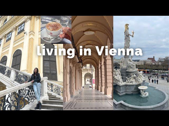 living in Vienna as a Pakistani: day in my life