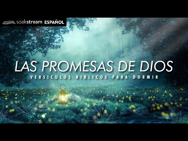 Las Promesas de Dios | Versiculos Biblicos Para Dormir