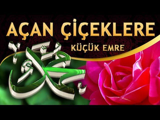 İlahi - Açan Çiçeklere Meyve Verilmiyor MUHAMMEDsiz / Küçük Emre