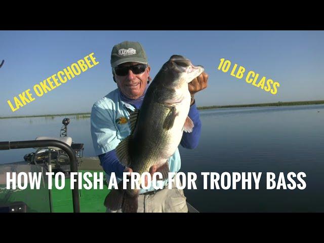 How to fish a frog for trophy Bass