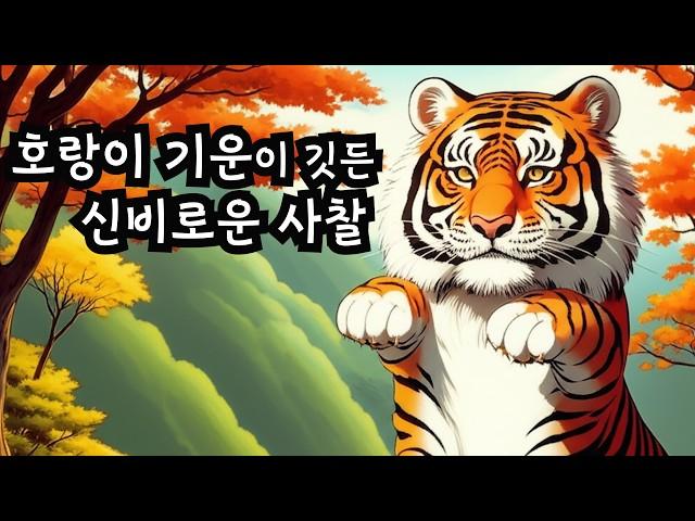 【4K】백화산 호랑이 품에 안긴 지혜의 도량, 영동 반야사 | 아찔한 절벽 위 문수전|산사여행172