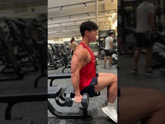 덤벨댄싱컬 #덤벨컬 #이두운동 #팔운동 #왕팔 #해머컬