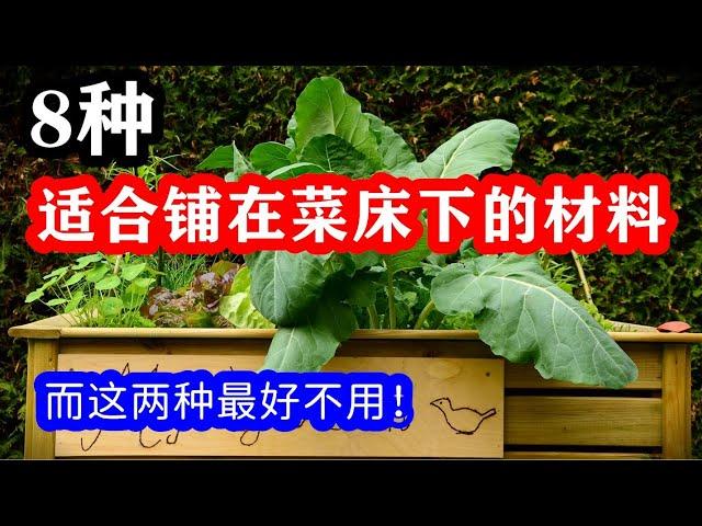 8种适合铺在菜床底部的好材料，而这两种最好不要用！新建种植床底部铺什么？【种菜养花 - 菜床】