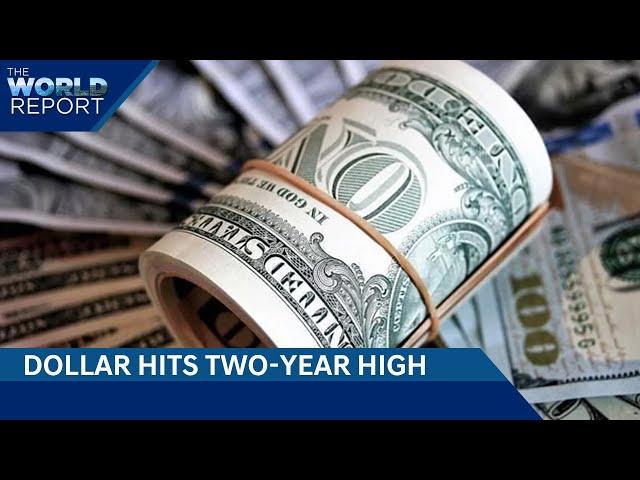 Dollar Hits Two-Year High | Tesla Sales Decline For 1st Time In Over A Decade| The World Report