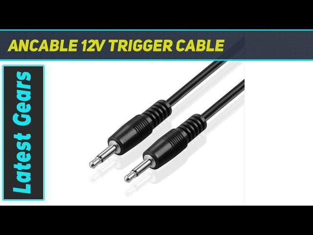 Ancable 12V Trigger Cable AZ Review