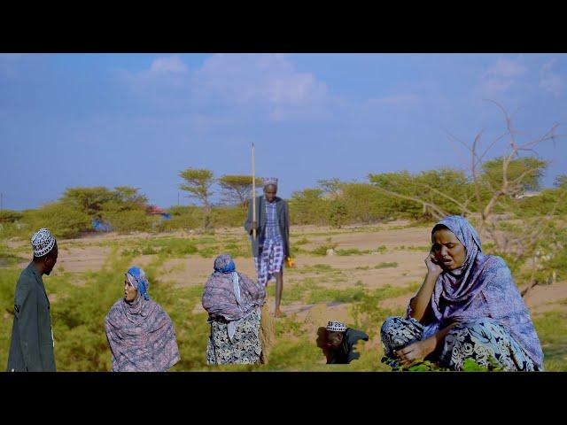 Miyi iyo Magaalo ...........(Short Film)