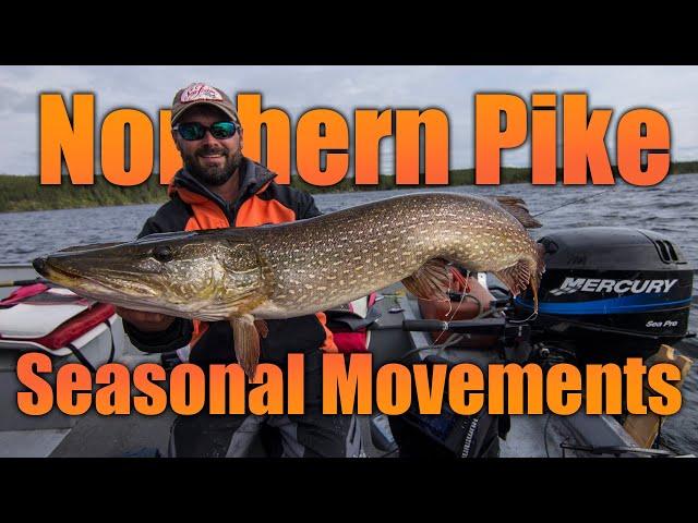 Northern Pike — Seasonal Movements