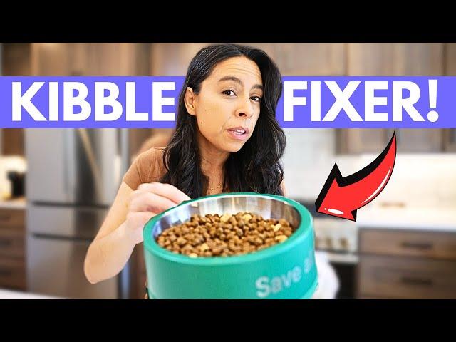 What they DON'T tell you about kibble ️