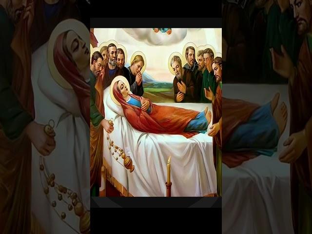 بركة أم النور تملئ حياتكم فرح وخير وسعادة️