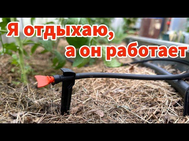 КАПЕЛЬНЫЙ ПОЛИВ от ёмкости. Как всё установлено у нас