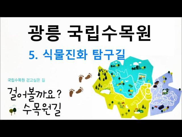 광릉국립수목원 - 식물진화 탐구길 #광릉수목원 #국립수목원 #포천여행