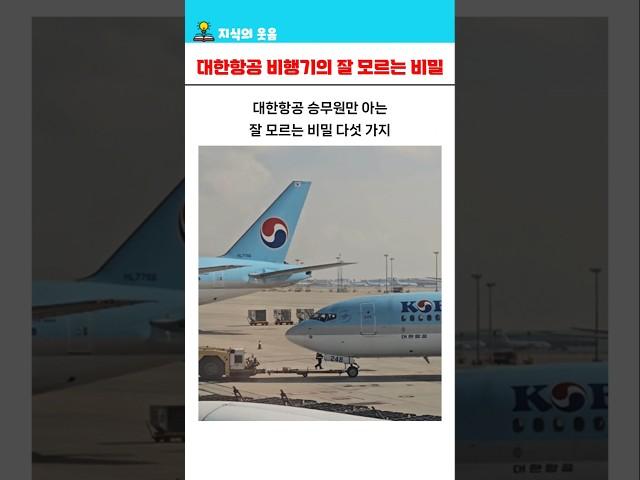대한항공 승무원만 아는 잘 모르는 비밀 5가지