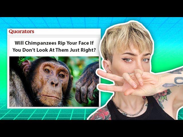 Safari Zone w/ merritt k // Quorators Full Episode
