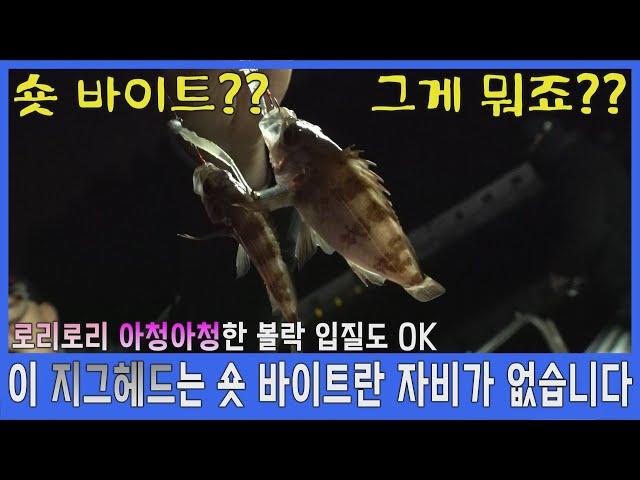 볼락?? 쇼옷 바이트으으?? 이 지그헤드라면 아청법을 위반하는 사이즈의 입질도 거침없습니다.