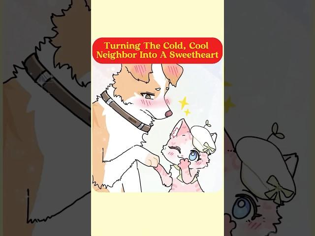 Turning The Cold, Cool Neighbor Into A Sweetheart. #cat #dog  #animals #animation