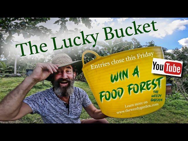 Win a Food Forest - The last Call