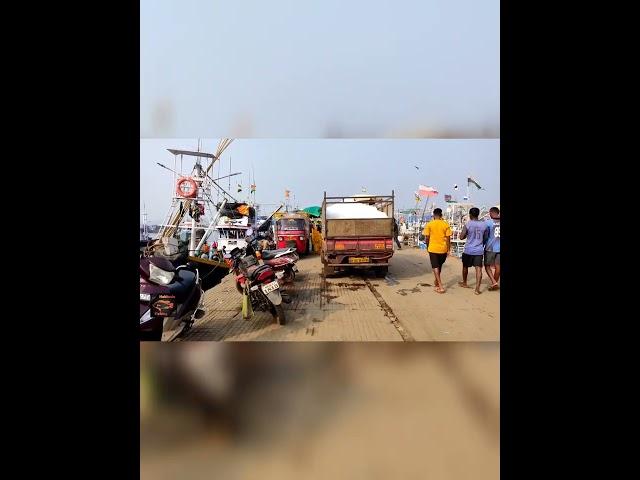 Ratnagiri mirkarwada port fish market ratnagiri fishing boat