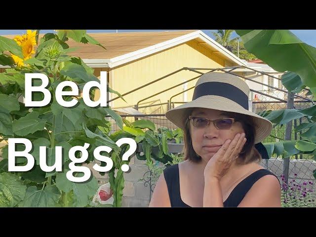 Bed Bugs Saved My Garden