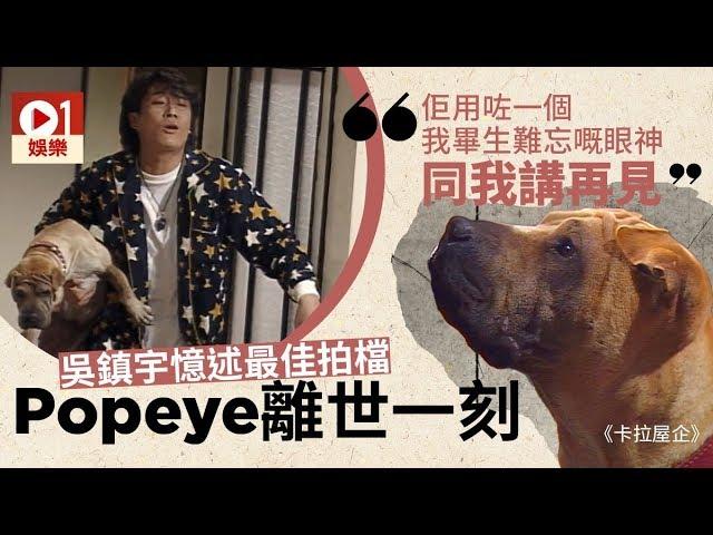 【卡拉屋企】吳鎮宇狗仔 Popeye 原來係狗女　曾經因咬傷人「坐監」 │ 01娛樂