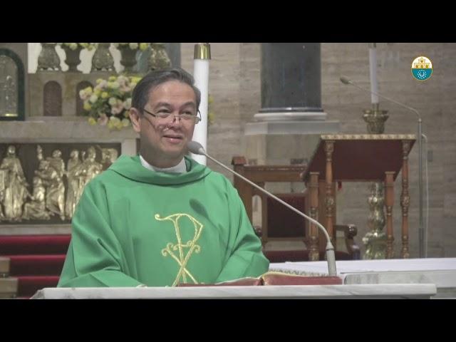 Cathedral Homilies - November 18 (Fr. Ted)