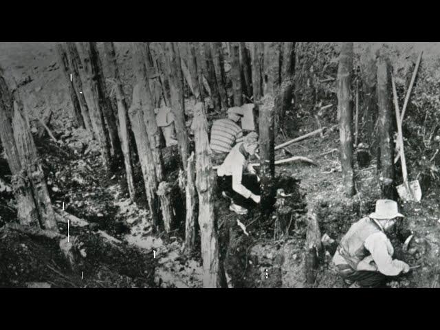 CAMcaffè - Palafitte di Ledro